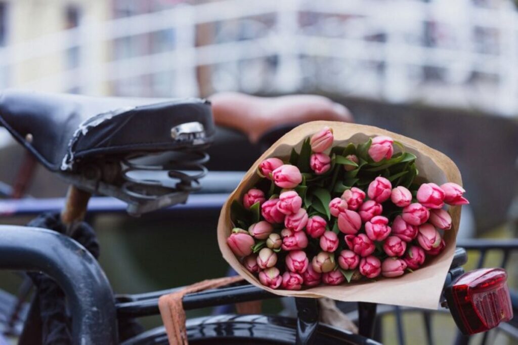 Milsons point florist