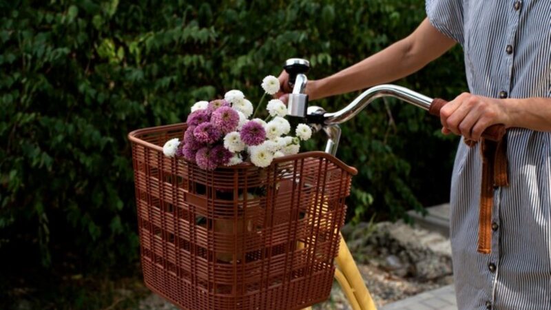 Where to Find the Best Florist in Milsons Point