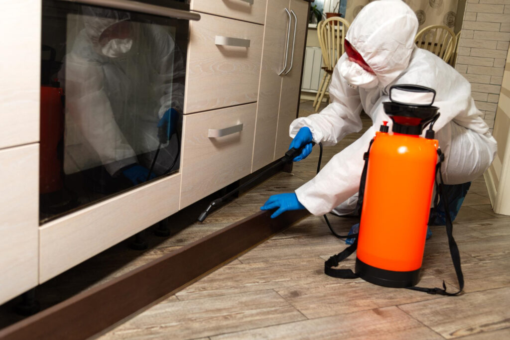 Residential Pest Control Sydney: A Complete Guide to Protecting Your Home