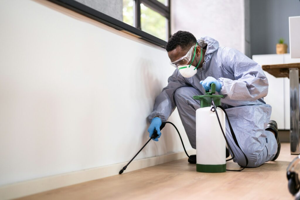 Residential Pest Control Sydney: A Complete Guide to Protecting Your Home