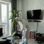 Residential Pest Control Sydney: A Complete Guide to Protecting Your Home