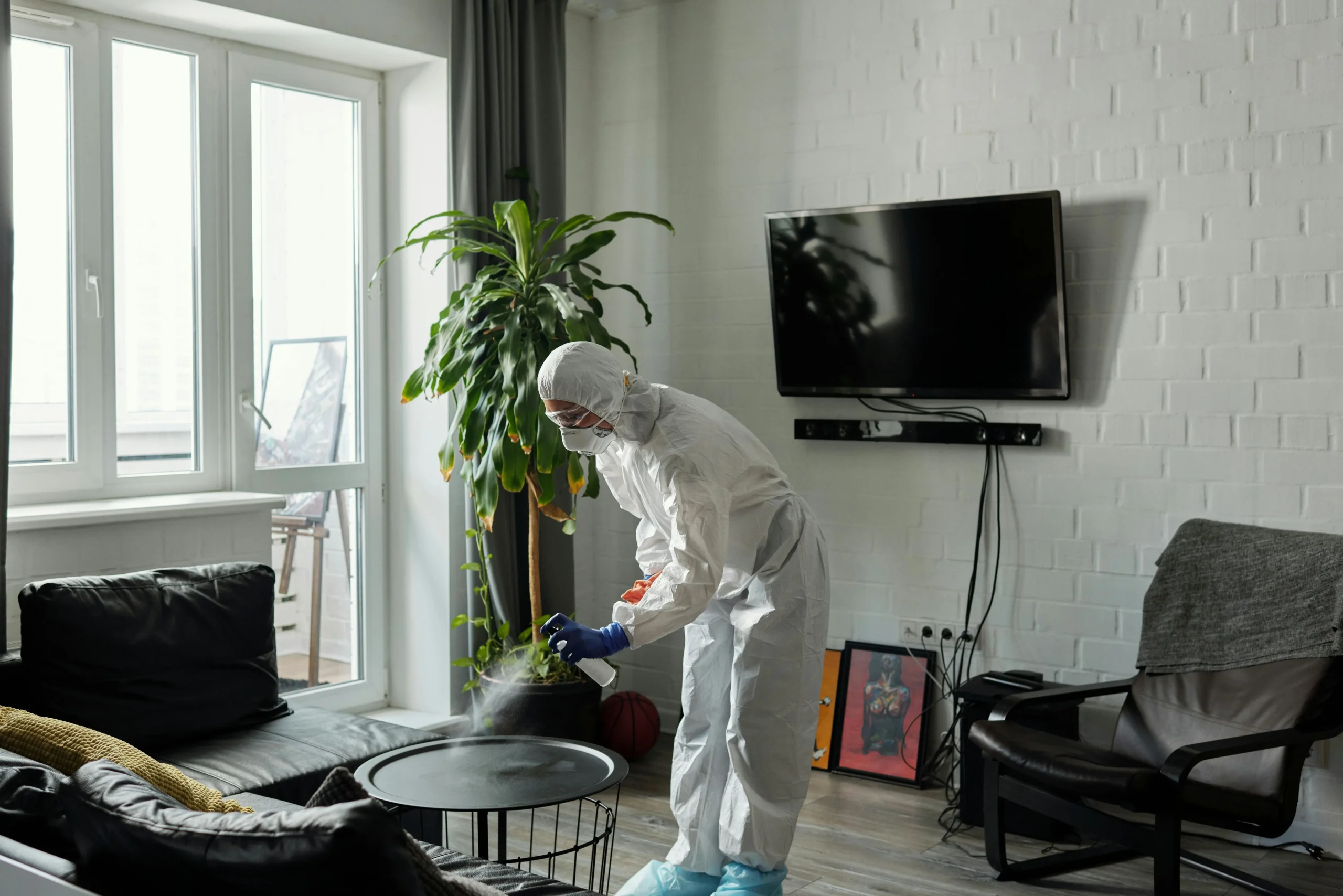 Residential Pest Control Sydney: A Complete Guide to Protecting Your Home
