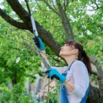 Tree pruning